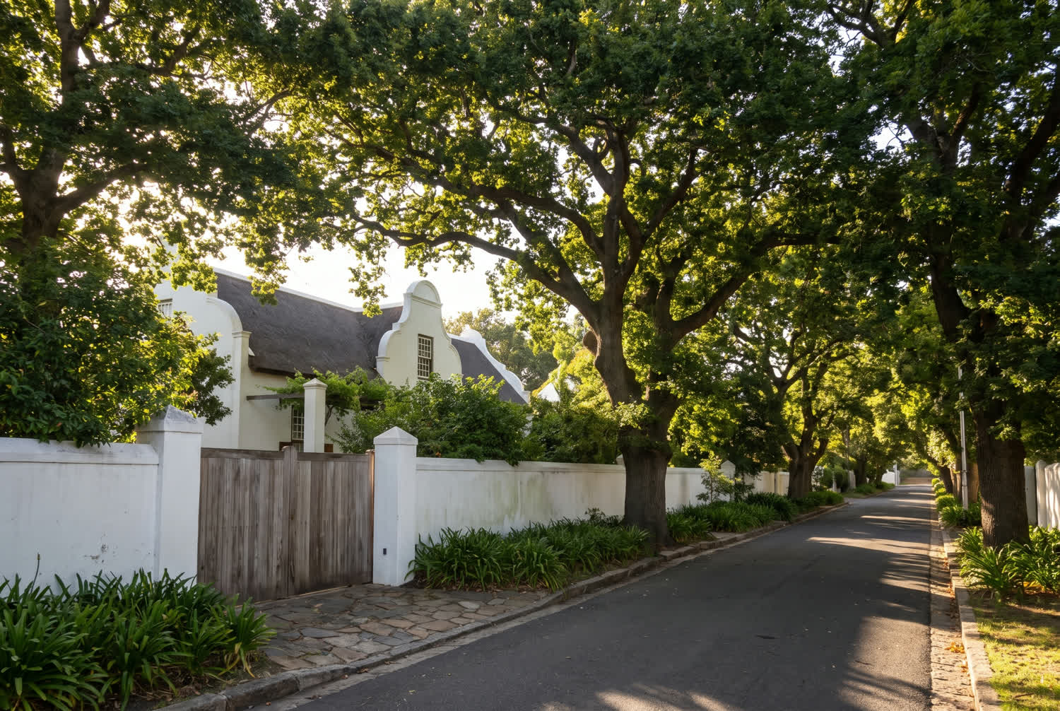 A shaded greenbelt path running along the back boundary of a Constantia property
